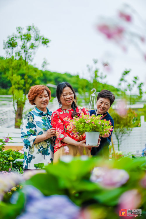 西山光凤片区棚改亮眼 自贡基本消除城市成片棚户区-7.jpg