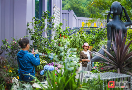 西山光凤片区棚改亮眼 自贡基本消除城市成片棚户区-8.jpg