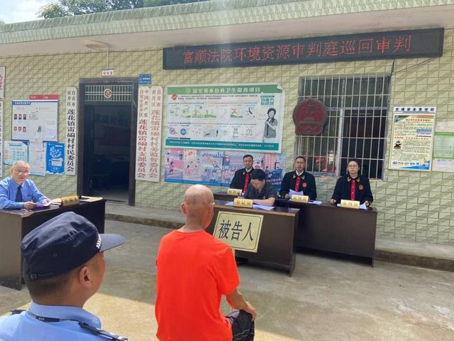拉网猎捕猫头鹰 四川自贡七旬老汉被判缓刑 罚金1000元-2.jpg