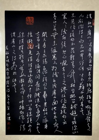 自贡市硬笔书法家协会庆祝建党100周年大书法网络展-84.jpg