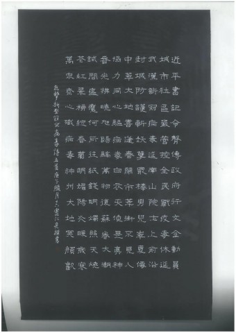 自贡市硬笔书法家协会庆祝建党100周年大书法网络展-200.jpg