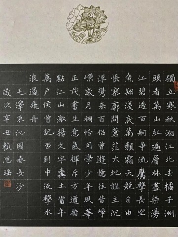 自贡市硬笔书法家协会庆祝建党100周年大书法网络展-252.jpg