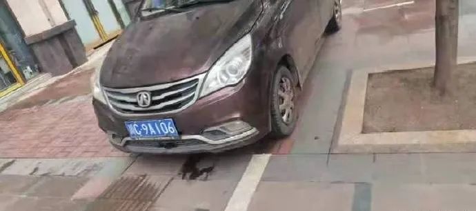 遭起！自贡这些车辆乱停乱放被曝光！快看有你的车吗？-10.jpg