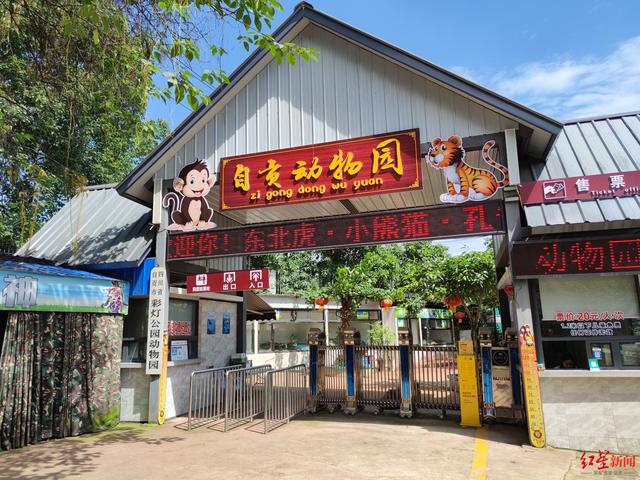 自贡一动物园被曝“虐待梅花鹿” 园方否认：每年都会人工修剪蹄甲 该梅花鹿曾摔伤-3.jpg