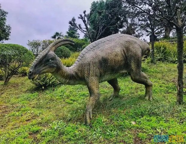 【魅力盐都·安逸灯城】自贡端午精品旅游路线新鲜出炉！-9.jpg