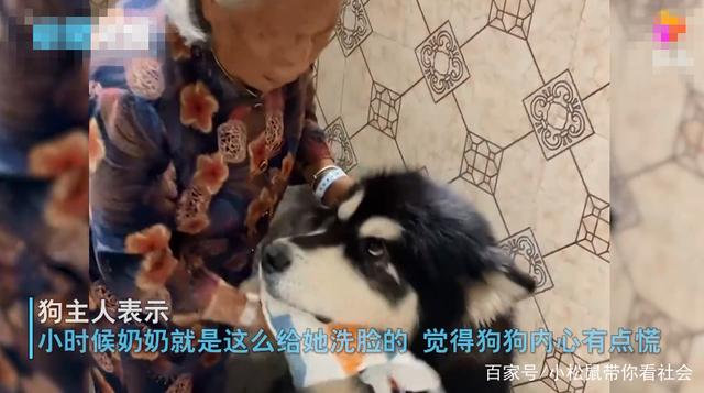自贡一奶奶给小狗洗脸，表情十分抗拒，网友：内心很慌不敢动-2.jpg