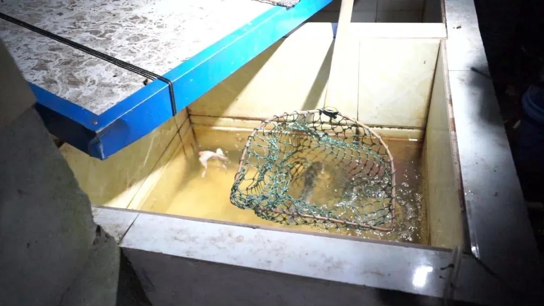 钓鱼得登记？自贡这些天然水域垂钓出新规！规定得细品......-1.jpg