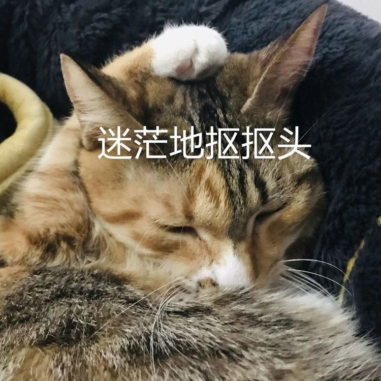 放假通知！自贡人，来看看你今年还有多少天假期？-1.jpg