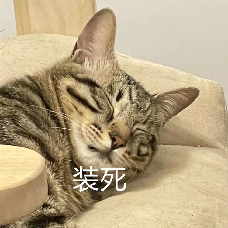 放假通知！自贡人，来看看你今年还有多少天假期？-6.jpg
