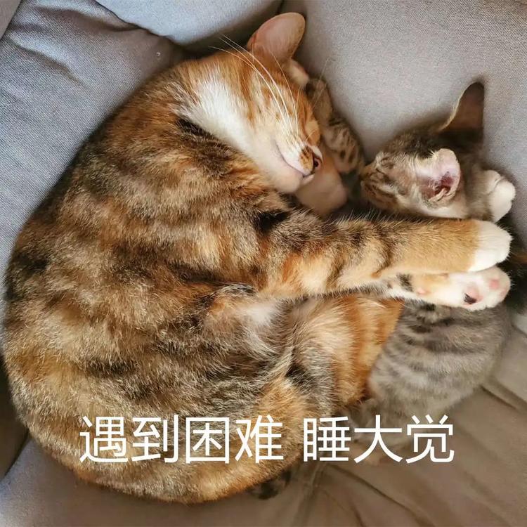 放假通知！自贡人，来看看你今年还有多少天假期？-10.jpg