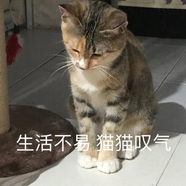 放假通知！自贡人，来看看你今年还有多少天假期？-7.jpg