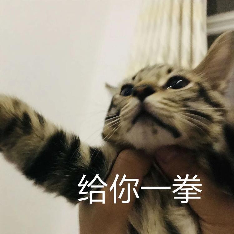 放假通知！自贡人，来看看你今年还有多少天假期？-14.jpg