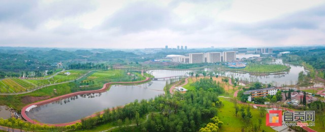 自贡东部新城添“高颜值”公园 宜昆河湿地公园草木葱茏湖水澄碧-7.jpg
