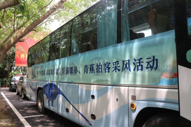 百城行| 挖掘“盐龙灯食”特色资源 宝藏自贡将被更多人发现-3.jpg