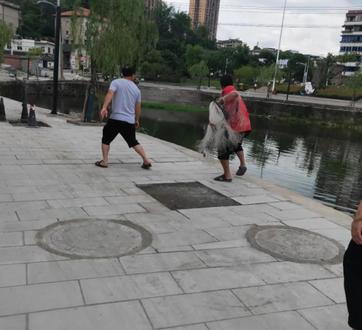 西湖居然有人撒网捕鱼！-1.jpg