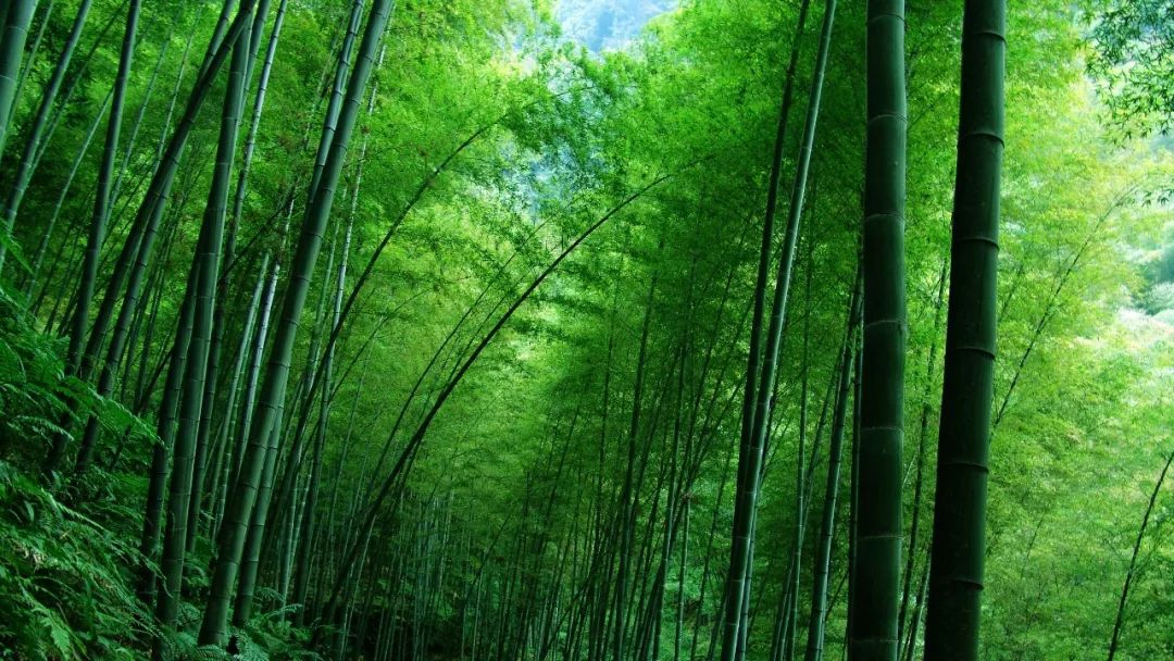 高铁开通在即！自贡终于要加速了！-33.jpg