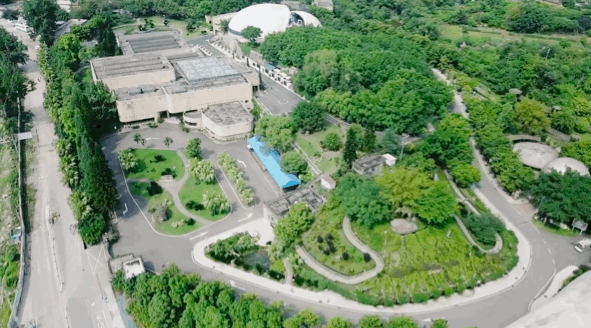【恐龙研学游·彩灯璀璨夜】自贡市2021暑期文旅活动精品线路推荐（上）-3.jpg