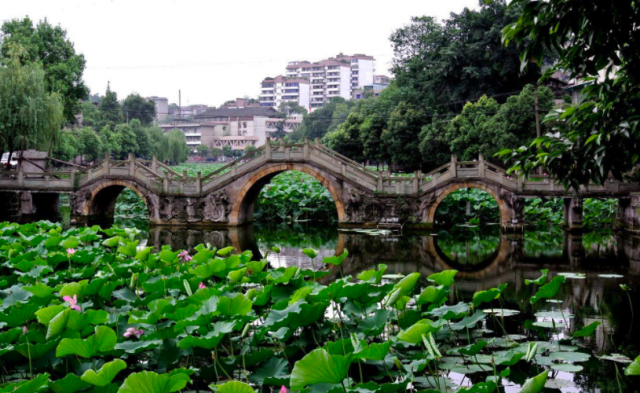 【恐龙研学游·彩灯璀璨夜】自贡市2021暑期文旅活动精品线路推荐（上）-11.jpg