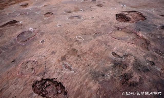 麻雀恐龙？自贡发现最小的恐龙脚印，仅10.2毫米，暗示了自贡什么-4.jpg