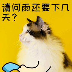 变脸！天气闷热，今晚或迎来雷雨大风——-2.gif