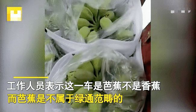 司机拉苹果蕉走绿通，被收1066元过路费，工作人员：怎么证明它是香蕉？-3.jpg