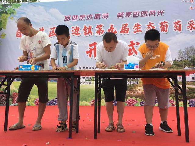 20余种葡萄让你实现“葡萄自由” 自流井荣边葡萄产值破6000万元成乡村振兴样板-3.jpg