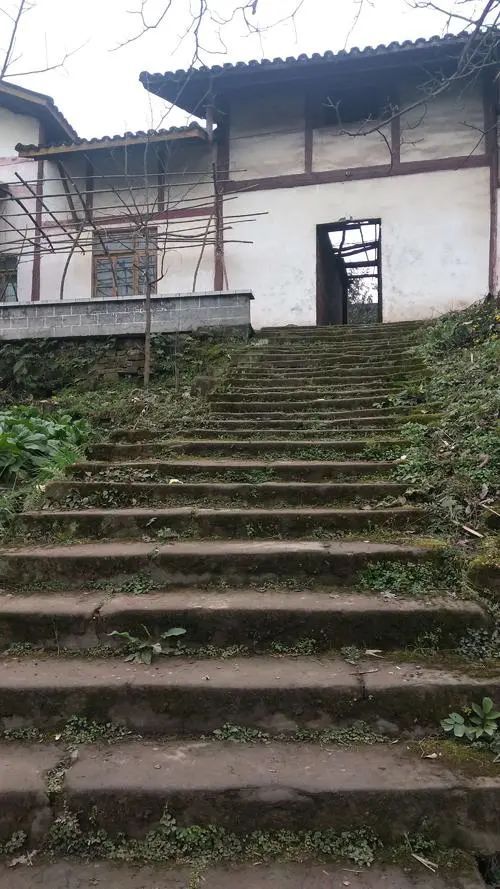 周末去大安｜创建天府旅游名县——快来三多古寨 赏花摘果 聚会露营吧～-2.jpg