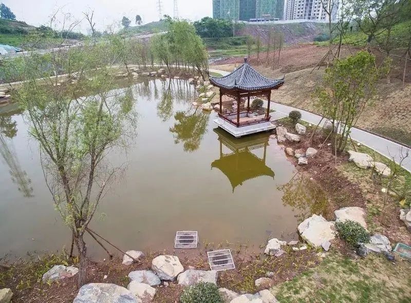 自贡高新区：卧龙湖西区生态修复工程主要景观节点已完成-5.jpg