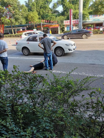 塞纳河畔大门口斑马线车祸-1.jpg