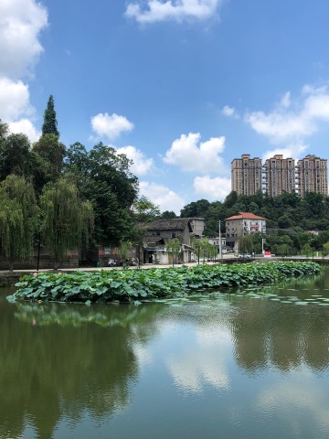改造后的富顺西湖，蓝天白云湖水清澈很漂亮！-2.jpg