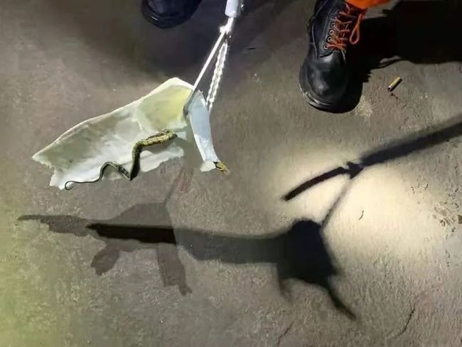 害怕！自贡消防7月收到14起报警求助，全是因为它-5.jpg