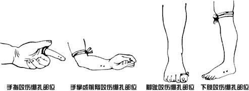 害怕！自贡消防7月收到14起报警求助，全是因为它-11.jpg