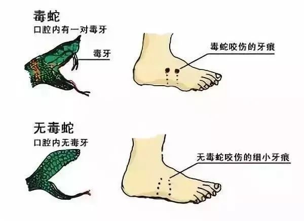 害怕！自贡消防7月收到14起报警求助，全是因为它-10.jpg
