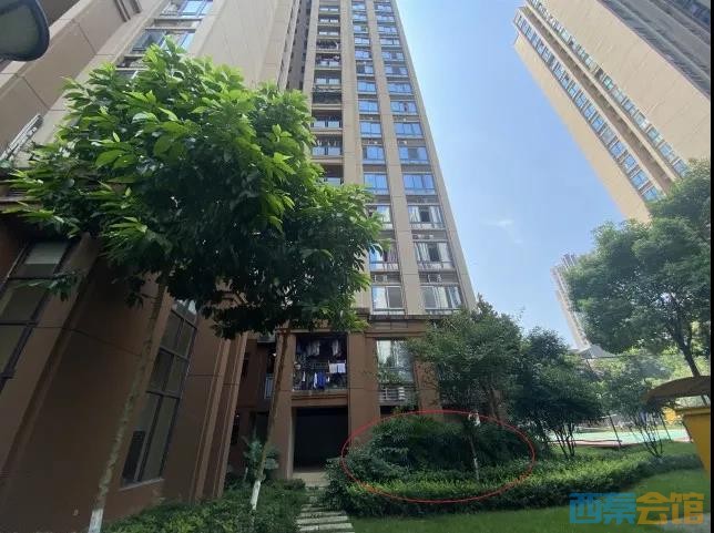 重庆两幼童坠亡案一审开庭 检察机关：应以故意杀人罪追究刑责-3.jpg