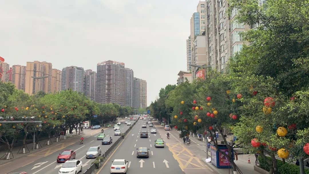 安逸!自贡即将新建一条通行大道!具体线路走向、互通设置已公布!-4.jpg