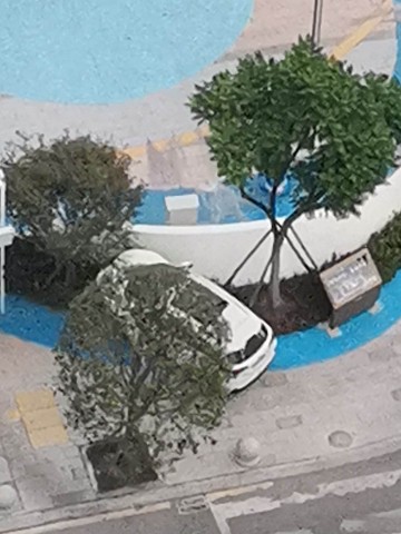 大清早的，华商十字路口又发生车祸！-3.jpg
