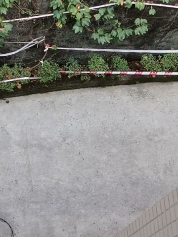 小区过道随时有石块掉落，老百姓安全谁来保障-4.jpg