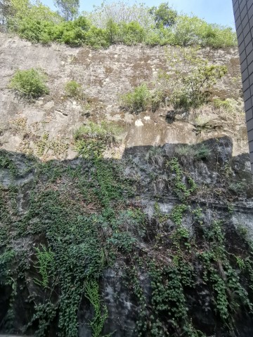 小区过道随时有石块掉落，老百姓安全谁来保障-3.jpg