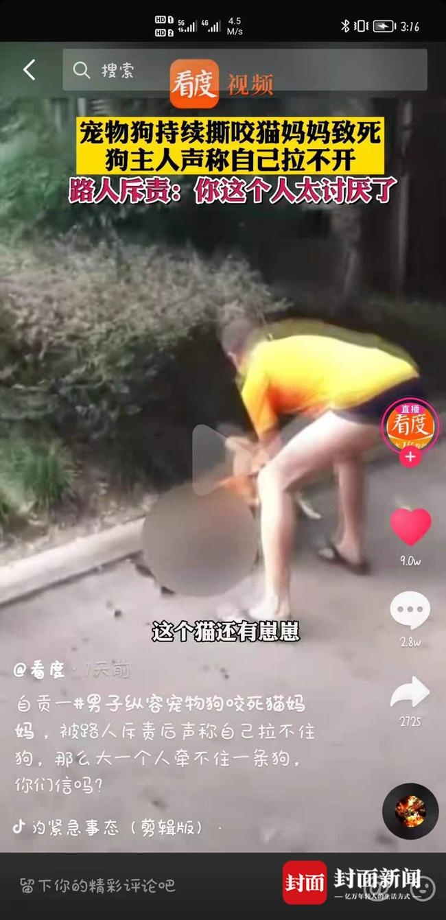 “放任”柴犬咬死猫咪引网友声讨 四川自贡一交警中队长被停职-1.jpg
