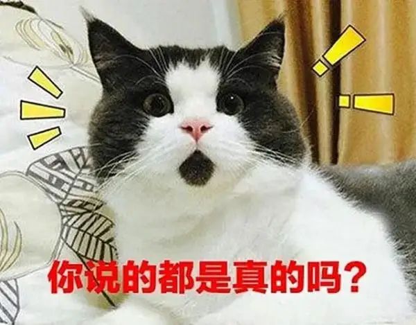 补完后再举报？特级教师违规补课被开除，举报学生：我计划好的-4.jpg