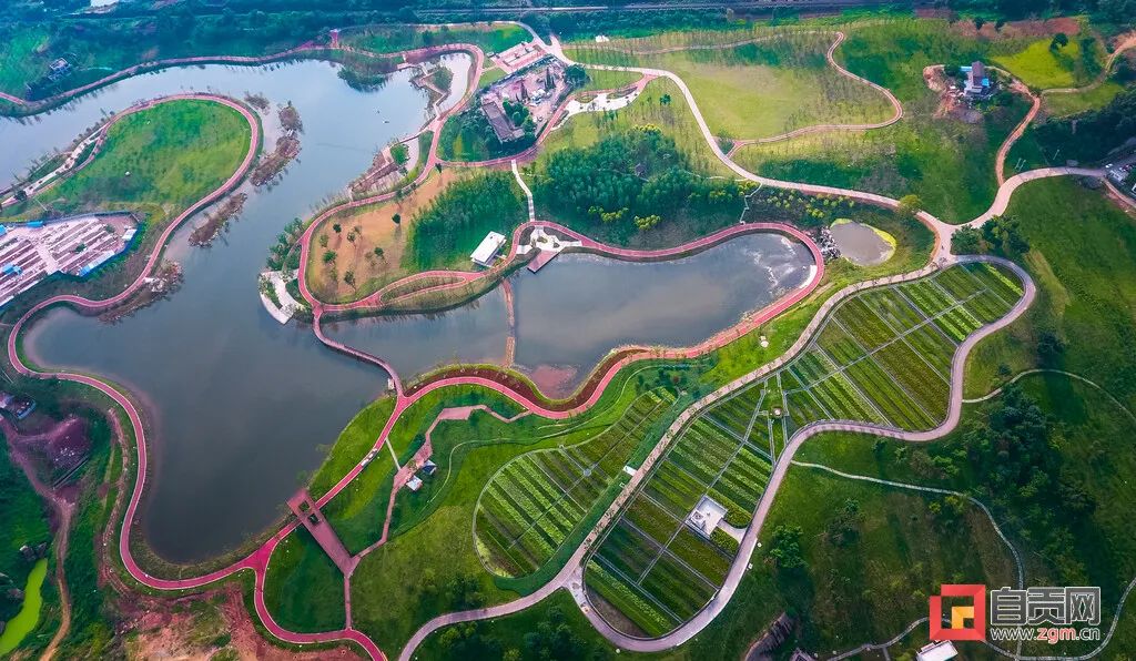 《成渝地区双城经济圈建设规划纲要》来了！赋予自贡这些重大发展机遇——-13.jpg
