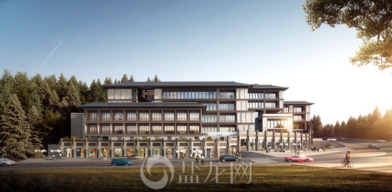 王家大院户型新鲜出炉 提升居住品质-3.jpg