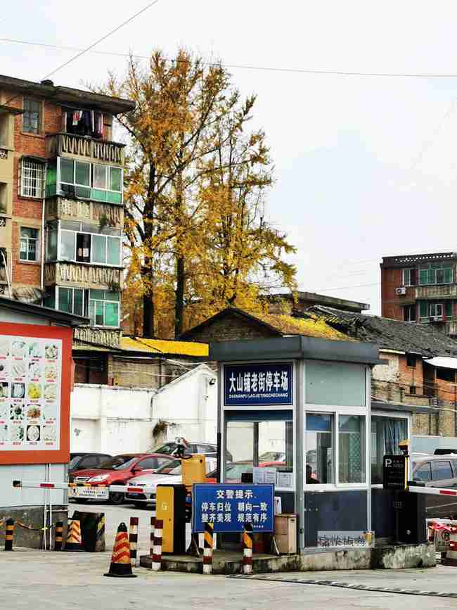 满地金黄，百年银杏惊艳了自贡大山铺老街的时光！-3.jpg