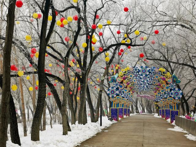 冰天雪地上的自贡彩灯展-16.jpg