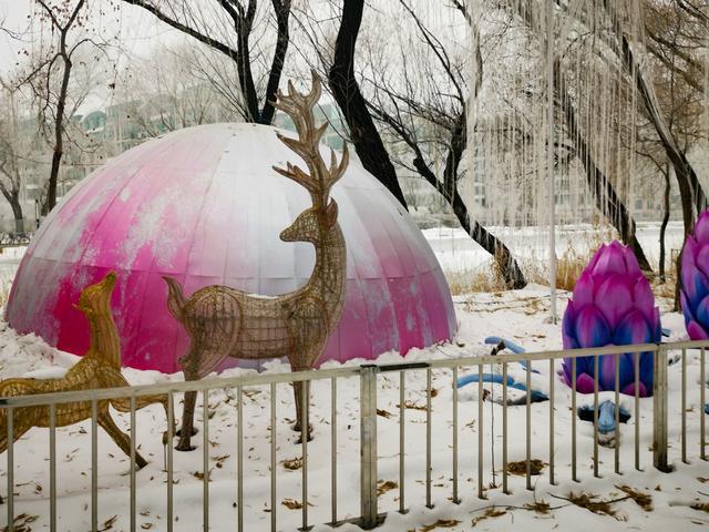 冰天雪地上的自贡彩灯展-18.jpg