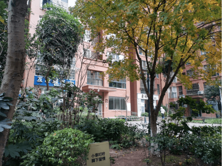 自贡一小区物业，擅自将公共区域设为收费停车场？处理结果来了！-7.png
