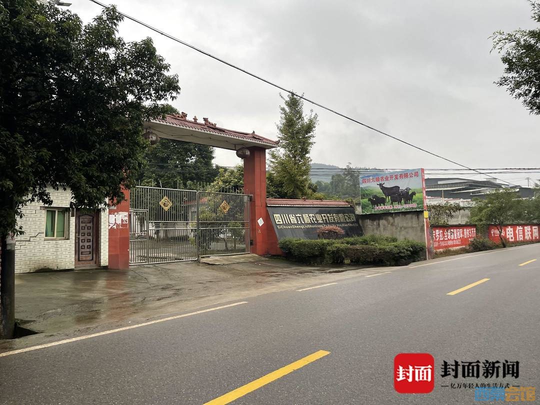 “富顺一农业公司贩卖犬只”，被救下的近400犬只去向：部分死亡无害化处理 剩余...-1.jpg
