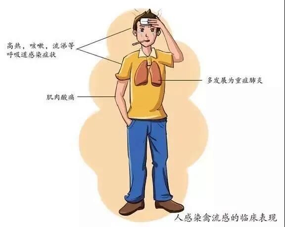自贡疾控：警惕！冬季来临，正确认识并预防禽流感-3.jpg