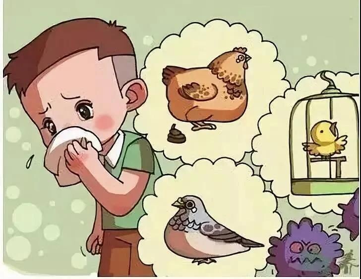 自贡疾控：警惕！冬季来临，正确认识并预防禽流感-1.jpg