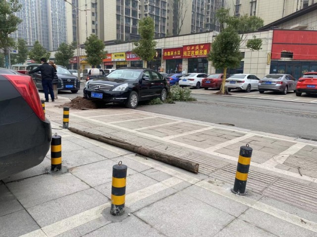 昨天龙湖领域一女司机倒车把树都干翻了！-1.jpg